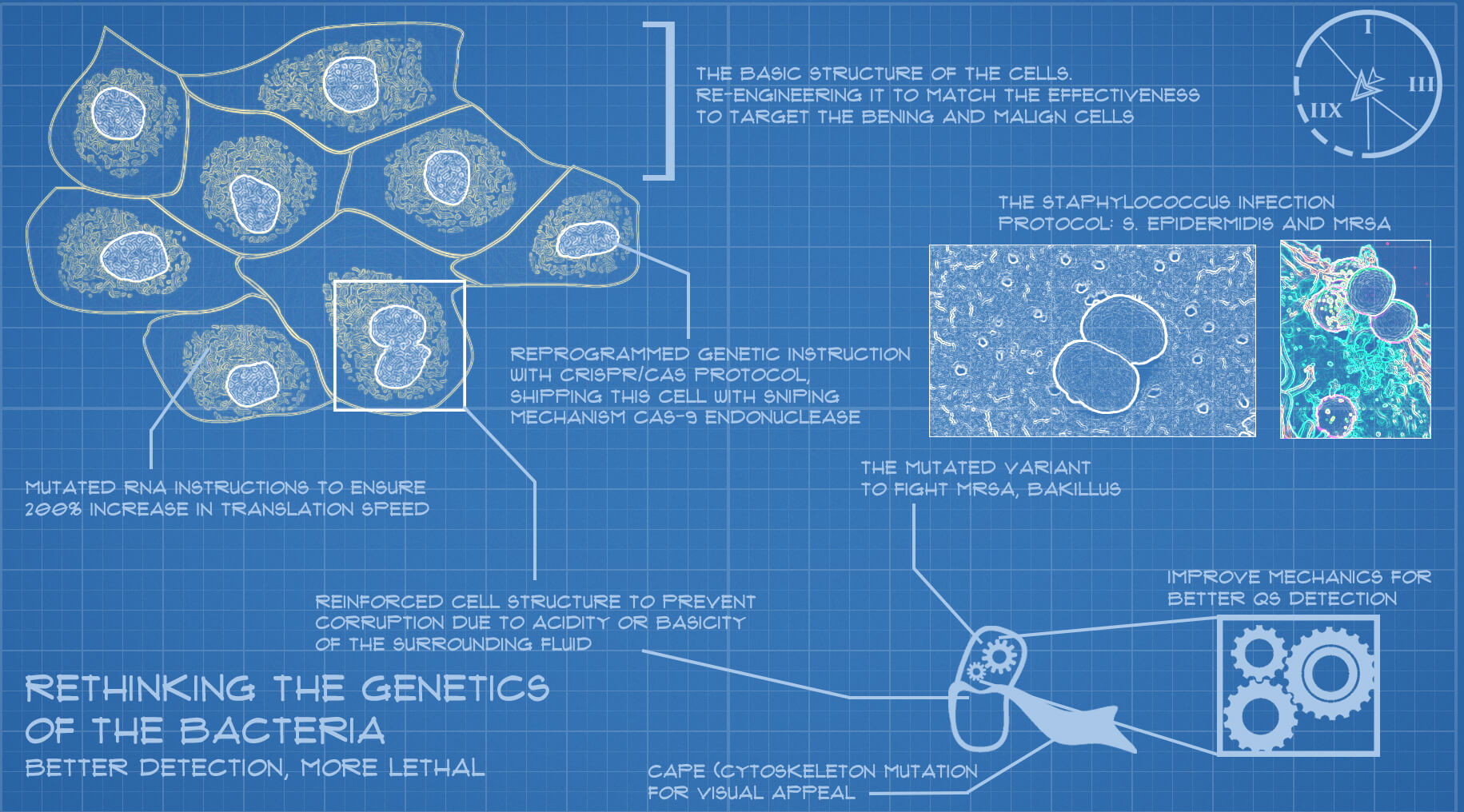 cell blueprint