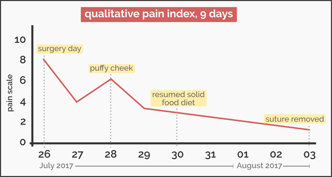 QualitativePainIndex_9days.png