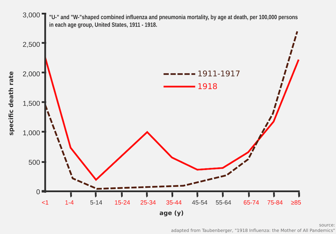 W-shaped graph